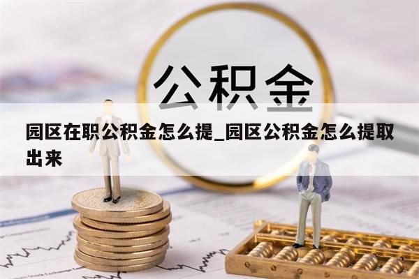 园区在职公积金怎么提_园区公积金怎么提取出来